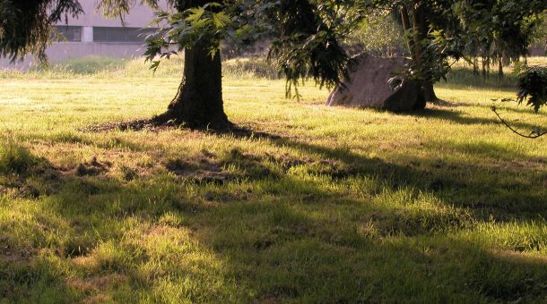 Parc du Domaine Saint-Paul