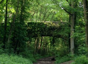 Nature Domaine de Saint Paul