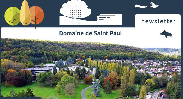 Newsletter Domaine de Saint-Paul