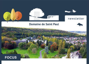 Newsletter Domaine Saint-Paul