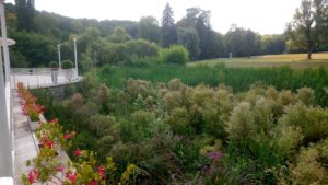 Présentation Domaine Saint-Paul, vue sur les prairies