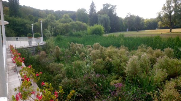 Présentation Domaine Saint-Paul, vue sur les prairies
