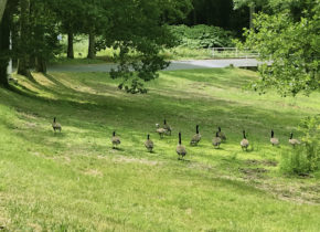 Parc du Domaine Saint-Paul