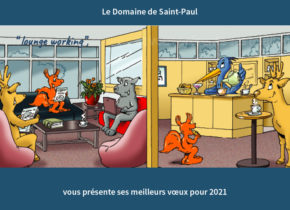 Voeux Domaine Saint-Paul 2021