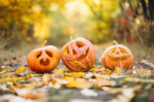 nos jardiniers préparent Halloween
