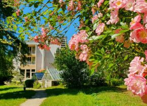 Réception, mariages Domaine Saint-Paul, anniversaire